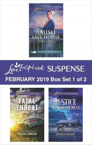 Book cover of Harlequin Love Inspired Suspense February 2019 - Box Set 1 of 2