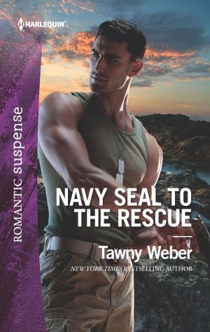 Cover of the book Navy SEAL to the Rescue by Paula Graves