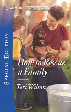 Cover of the book How to Rescue a Family by Donna Alward, Claire McEwen