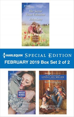 Book cover of Harlequin Special Edition February 2019 - Box Set 2 of 2