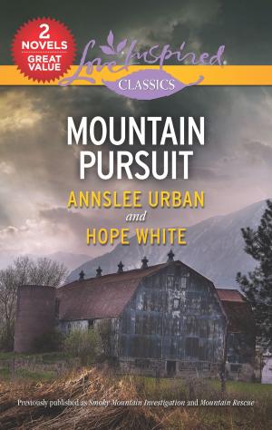 Cover of the book Mountain Pursuit by Gabrielle Meyer