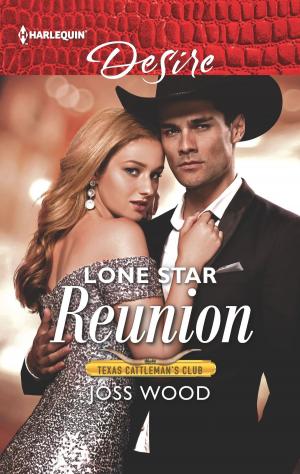 bigCover of the book Lone Star Reunion by 