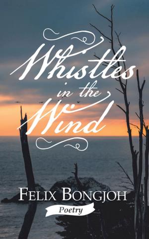 Cover of the book Whistles in the Wind by DANNY MCDOWELL
