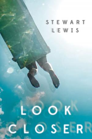 Cover of the book Look Closer by Isabelle Ronin