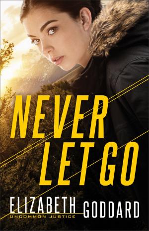 Cover of the book Never Let Go (Uncommon Justice Book #1) by Ally Blake