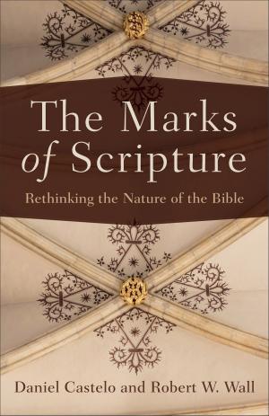 Book cover of The Marks of Scripture