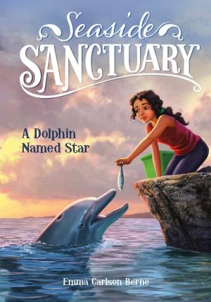 Cover of the book A Dolphin Named Star by Brandon T. Snider
