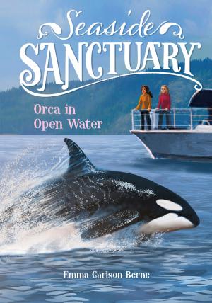 Cover of the book Orca in Open Water by Fran Manushkin