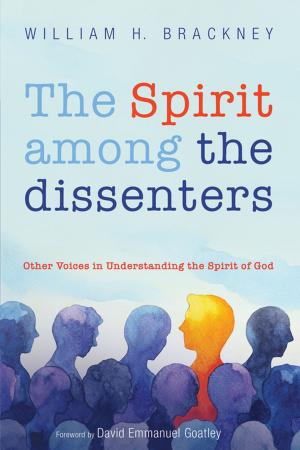 Cover of the book The Spirit among the dissenters by Elizabeth Goodman
