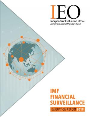 Cover of the book IEO Evaluation Report by Ian W.H. Parry, Ruud A. de Mooij, Michael Keen
