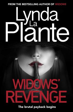 Cover of the book Widows' Revenge by Anna Bell