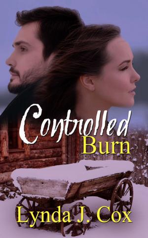 Cover of the book Controlled Burn by Barbara  Edwards