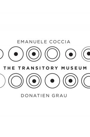 Cover of the book The Transitory Museum by Simon Tormey