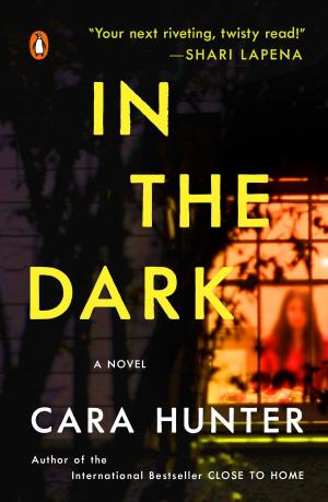 Cover of the book In the Dark by Julia Suits