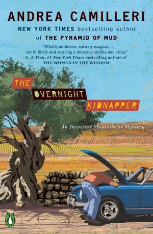 Cover of the book The Overnight Kidnapper by julien Robideaux