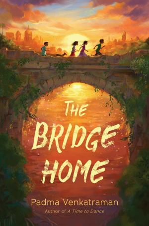Cover of the book The Bridge Home by Ingrid Law