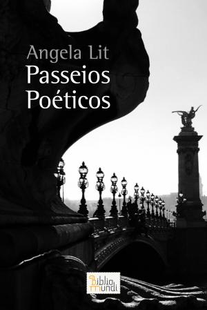 Cover of the book Passeios Poéticos by Rodrigo Cesar Picon de Carvalho