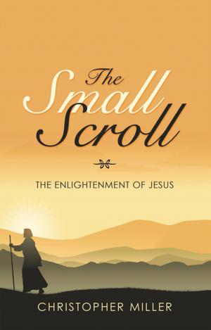 Cover of the book The Small Scroll by Anonymous Too