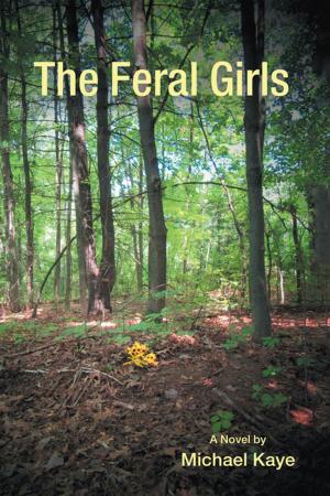 Cover of the book The Feral Girls by Henna Inam