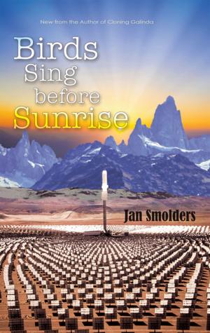 Cover of the book Birds Sing Before Sunrise by Keith Domingue