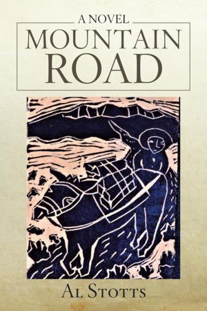 Cover of the book Mountain Road by David A. Grootenhuis