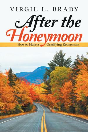 Book cover of After the Honeymoon