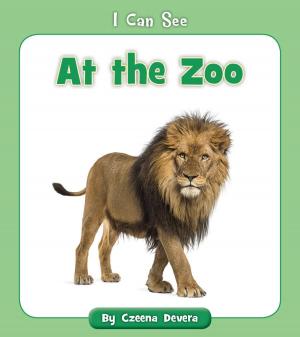 Cover of the book At the Zoo by Czeena Devera