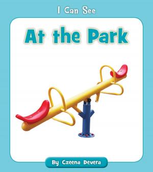 Book cover of At the Park
