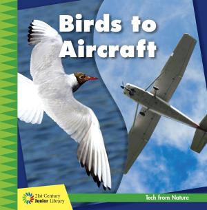 Cover of the book Birds to Aircraft by Melissa Sherman Pearl, David A. Sherman