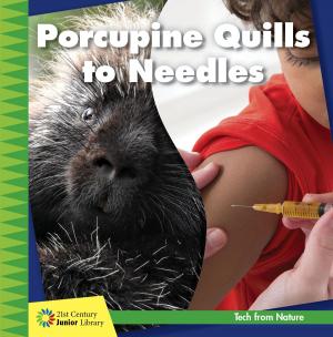 Cover of the book Porcupine Quills to Needles by Diane Lindsey Reeves