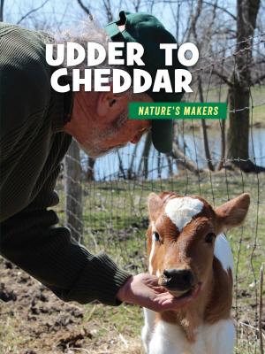 Cover of the book Udder to Cheddar by Virginia Loh-Hagan