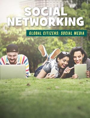 Cover of the book Social Networking by Kristin Fontichiaro