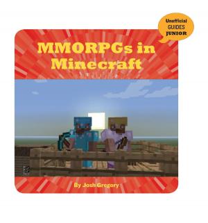 Cover of MMORPGs in Minecraft