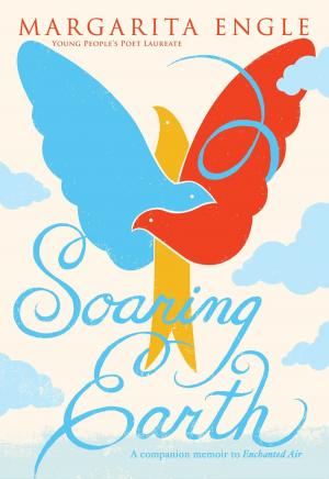 Book cover of Soaring Earth