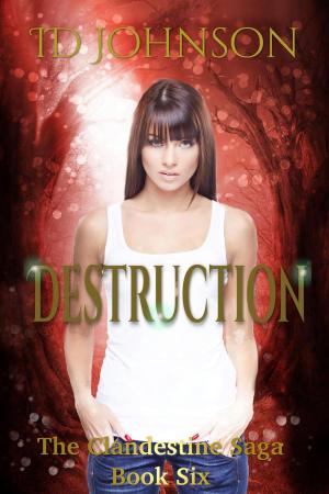 bigCover of the book Destruction by 