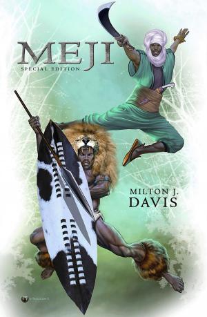 Cover of the book Meji: 10th Anniversary Special Edition by Coren Graves