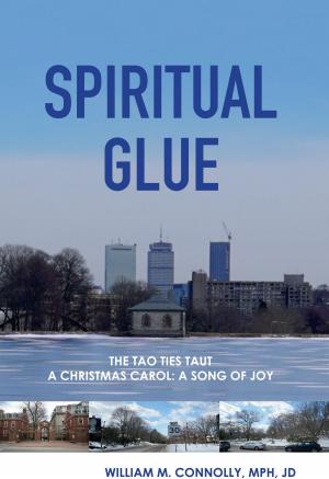 Cover of the book Spiritual Glue by Howard Shrier