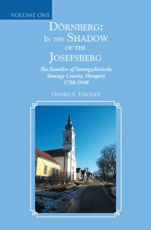 Cover of Dörnberg: in the Shadow of the Josefsberg