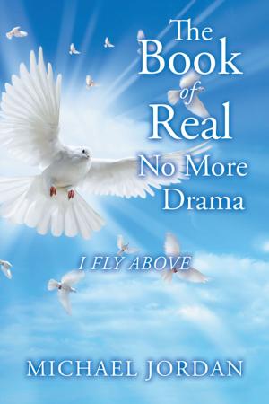 Cover of the book The Book of Real No More Drama by Dr Nikki Krampah CNHP  ND
