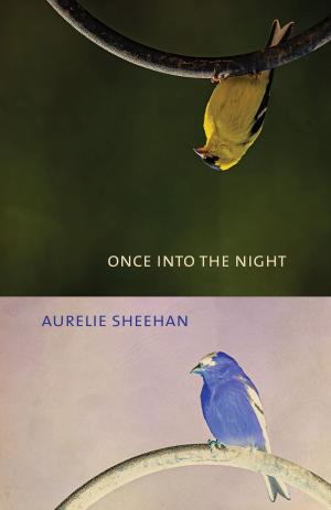 Cover of the book Once into the Night by Susie Powers Tompkins