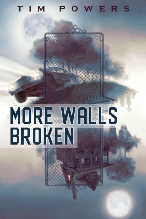 Cover of the book More Walls Broken by Robert Silverberg