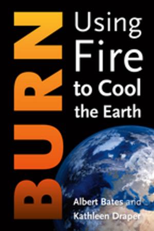 Cover of the book Burn by Axel Klimek, Alan AtKisson