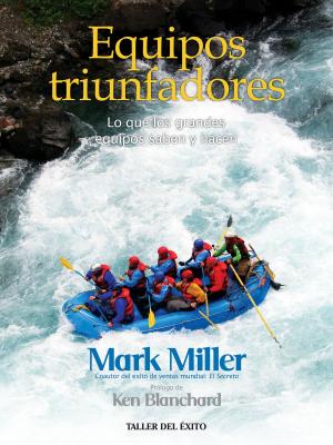 Cover of the book Equipos triunfadores by Dr. Camilo Cruz