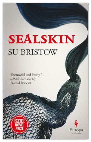 Cover of the book Sealskin by Alina Bronsky