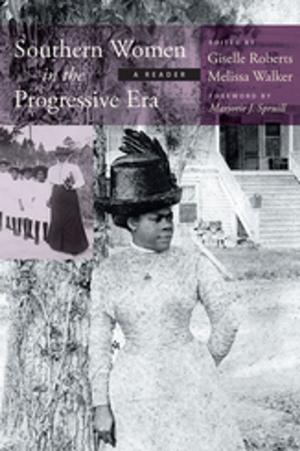 Cover of the book Southern Women in the Progressive Era by Gillian Dooley
