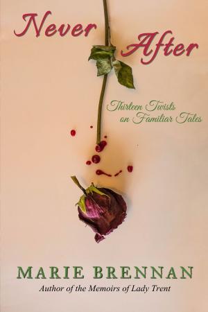 Cover of the book Never After by Judith Tarr