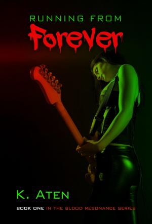 Cover of the book Running From Forever by Jacqueline Sweet