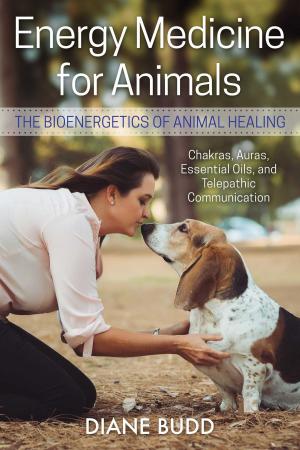 Cover of the book Energy Medicine for Animals by Von Cook