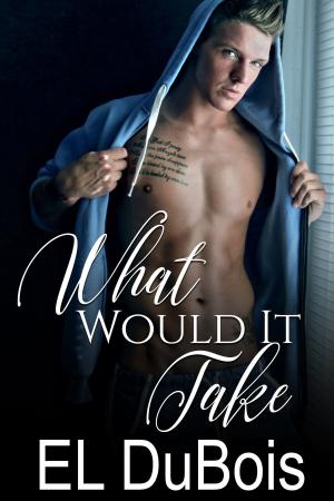 Cover of the book What Would it Take by JF Silver