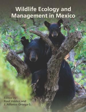 bigCover of the book Wildlife Ecology and Management in Mexico by 